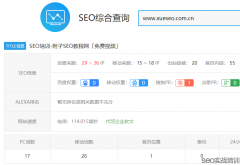 SEO排名提权实战操作，移动端SEO优化